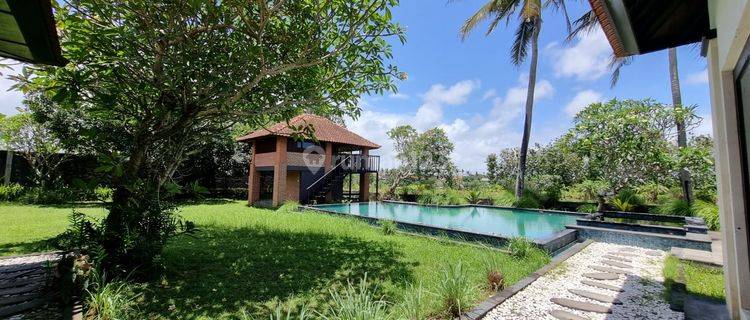 Villa dengan view sawah abadi dan taman luas di Ubud 1