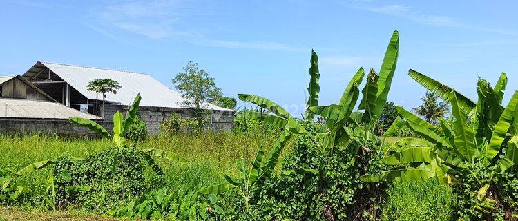 Land towards the beach, the main road of Munggu beach 1