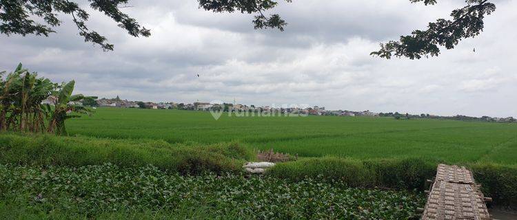 Tanah siap kavling perumahan 1