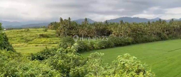 Tanah view gunung, sawah, pantai, sungai 1