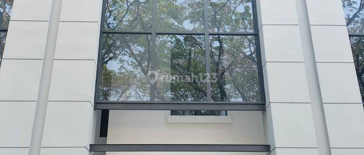 Jarang Ada Soho Lebar 6mtr 1
