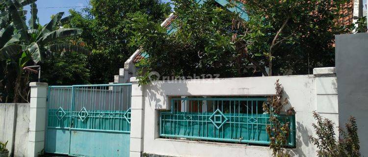 Rumah Murah 2 Lantai Di Kerten Turun Harga Drastis 1