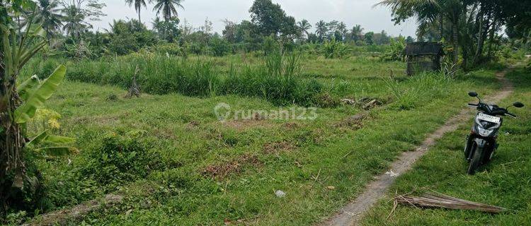 turun harga jual tanah luas 597m2 dibarat jl palagan km 15 view sawah 1