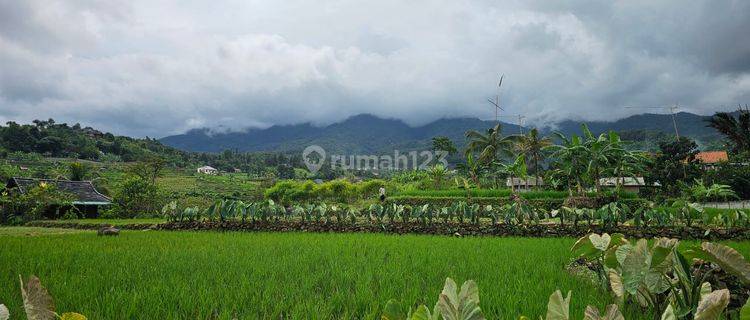 Jual Tanah di Gunung Bunder nempel Sungai view Gunung Salak 1