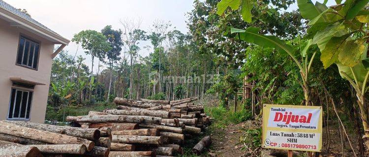 Dijual! Tanah Kebun SHM Cimalaka, Sumedang 1