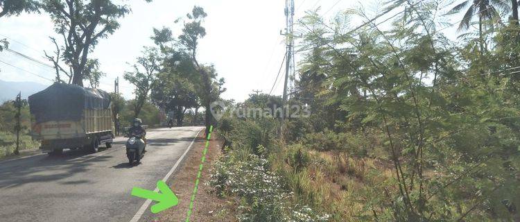 1 Hektar Lahan Tanah Kebun Pinggir Jalan Utama Perbatasan Patas - Pengulon, Buleleng di  dibagian utar 1