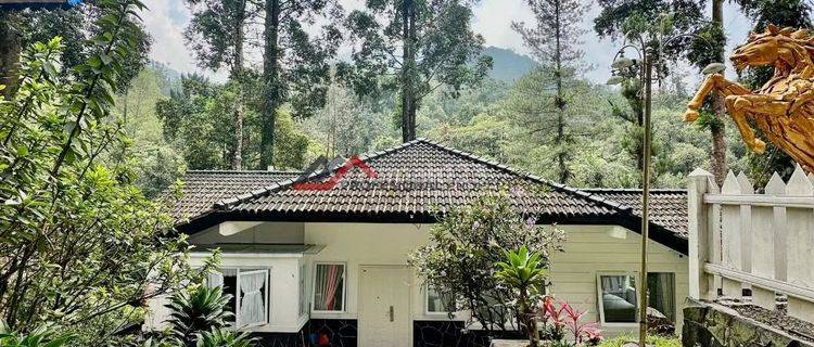 MEGAMENDUNG BRAND NEW RENOVATED VILLA DALAM KOMPLEK SIAP HUNI 1