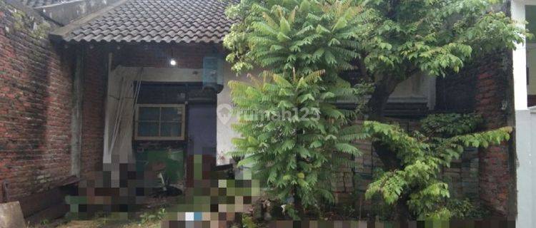 Cepat, Murah, Rumah Tinggal, Perumnas Kotabaru Driyorejo 1