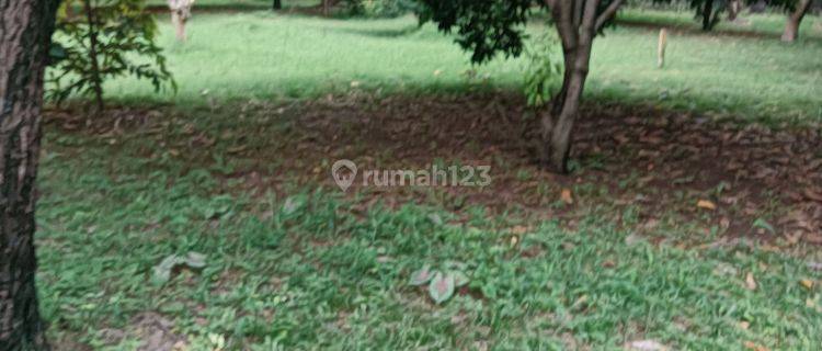 Jual Tanah Lokasi Jakarta Timur Cocok Untuk Perumahan..jalan Lebar .bebas Banjir 1