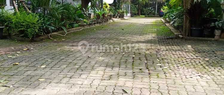 For Rent House in Cilandak Near Citos Mall 1