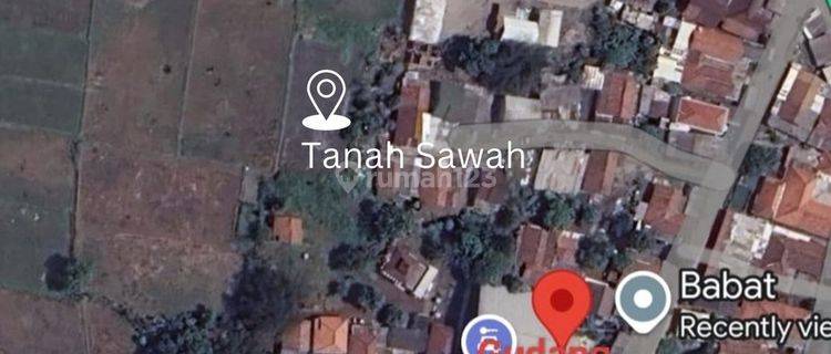 Jual Tanah Sawah Padat di Legok dekat Blessindo Tangerang Banten 1