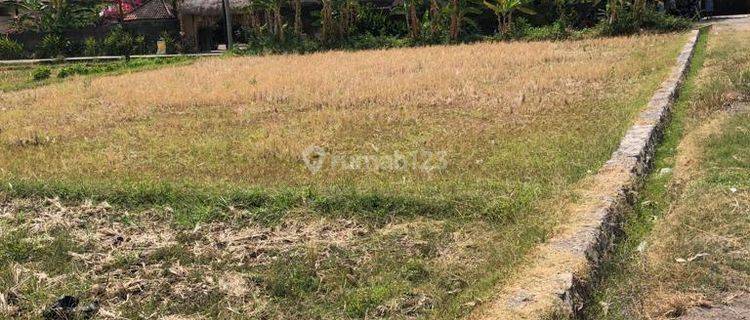 1 min to the beach, land for sale in Lovina 1