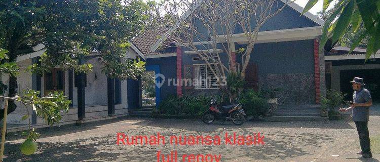 Dijual Rumah Luas + Lahan Bisnis Di Kota Jember hanya 2 Km Dr Bandara  1