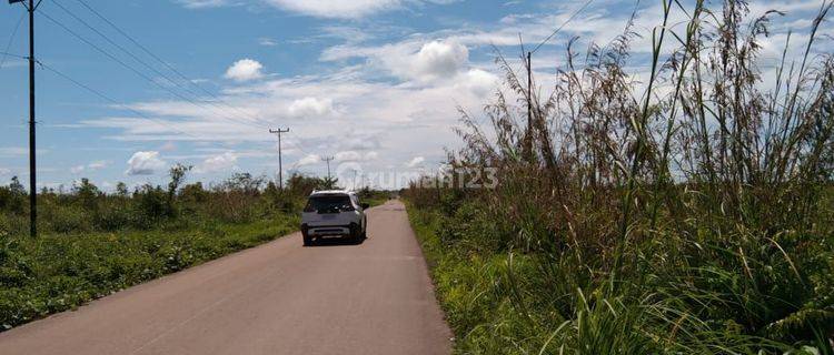 Tanah cantik super strategis . Di kalimantan barat Tanah 1