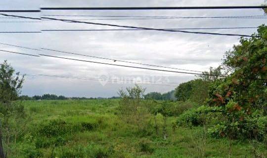 Tanah Jalan Raya Mojokerto Sumobito Desa Tawangsari 1