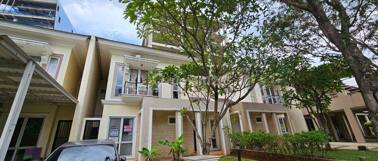 di Cluster De Frangipani, De Park Bsd Full Furnished 1
