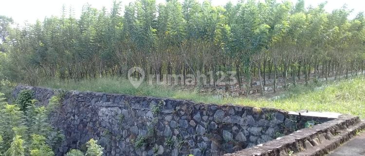 Tanah ex. Pabrik kayu di desa Cikembar, Sukabumi, Jawa Barat 1
