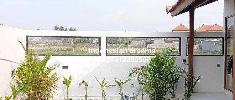 Brand New 2 Br Villa In Seseh Rice Paddy View 1