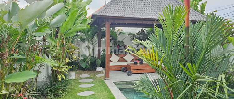 Villa 2 Bedrooms Pererenan Garden Pet Friendly 1