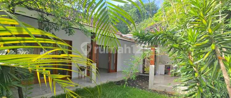 Cheap Big Garden 2 Bedrooms Villa Canggu Central Kayu Tulang 1