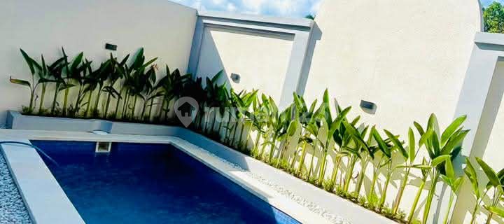 BRAND NEW 2 Bedroom VILLA IN BERAWA CENTRAL CANGGU 1