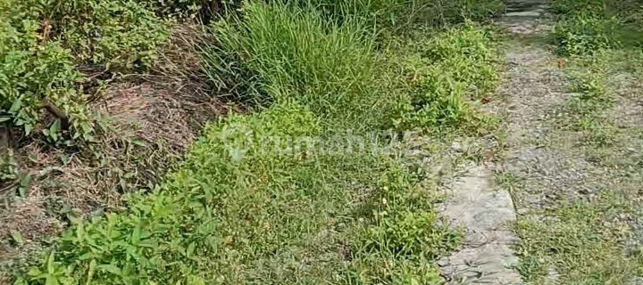 Tanah Luas 2 Hektar di Semarang | Cocok untuk Usaha & Komersial 1