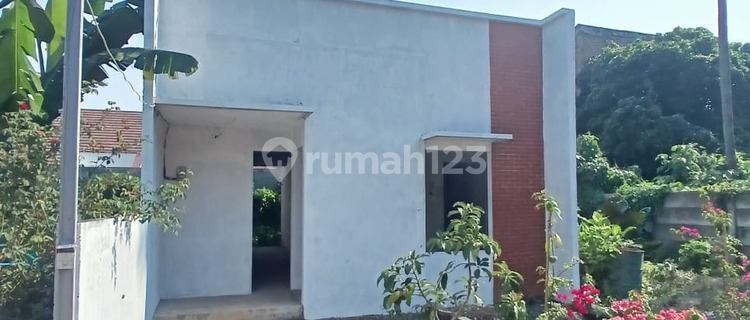 Rumah 1 Lantai Ngesrep Barat Hampir Jadi Bangunan Masih Ok 1
