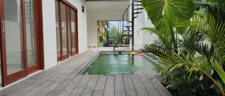 Bl 174 For Rent Peacfull Minimalish Modern Style Villa Ricefield View Located Oj Tabanan  1