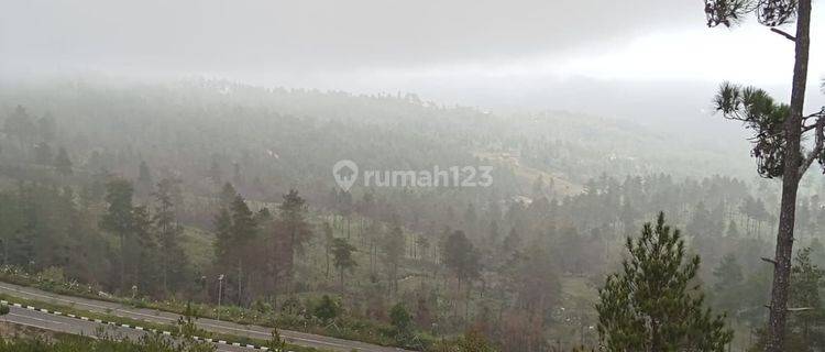 Dijual tanah dekat bandara pong tiku mangkendek tana toraja 1