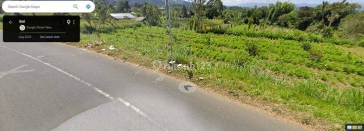 Land For Sale at Baturiti Tabanan 1