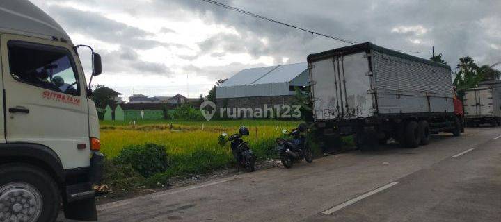 Tanah Jual Di Dekat Terminal Mengwi Badung 1