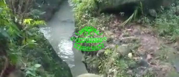 Tanah Jual Lokasi Belimbing 1