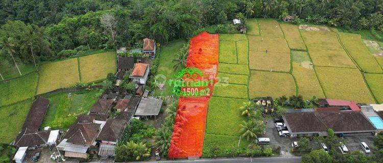 Land for sale in Kedewatan location 1