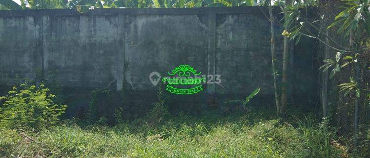 Land for sale in Mumbul location 1