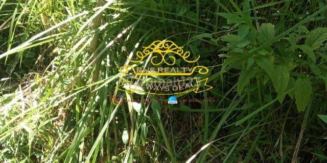 Land for sale in Pekutan location 1