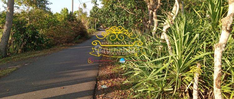 Tanah Sewa Lokasi Pabuahan 1