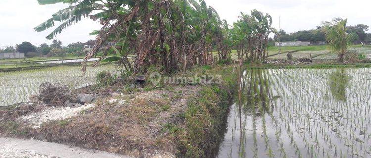 Tanah Jual Lokasi Buwit 1