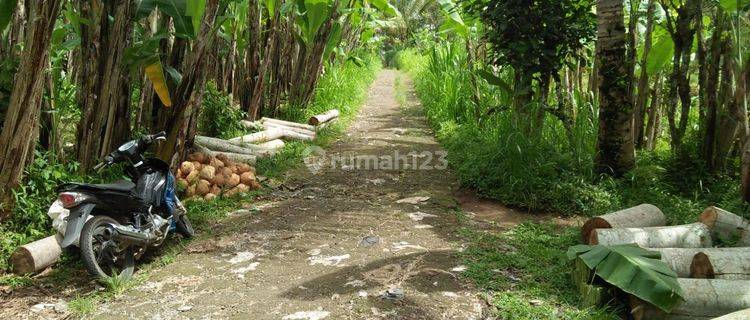 Tanah Jual Lokasi Buahan 1