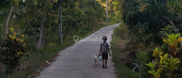 Tanah Jual Lokasi Kubutambahan 1