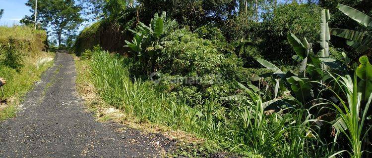 Land for sale Batiriti location 1