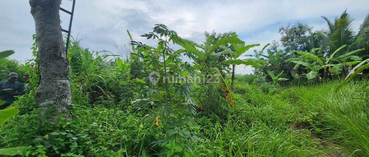 Land for sale in Singapadu location 1