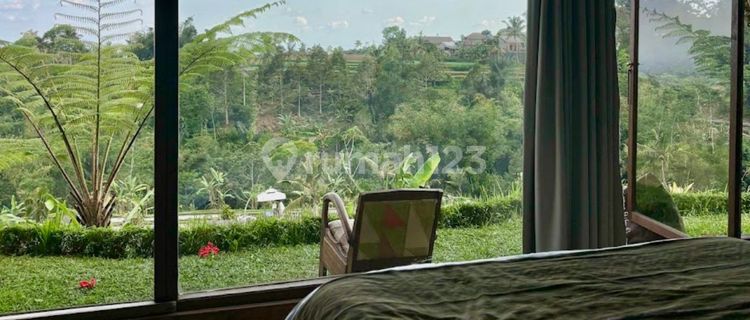 Hotel Jual Lokasi Baturiti 1