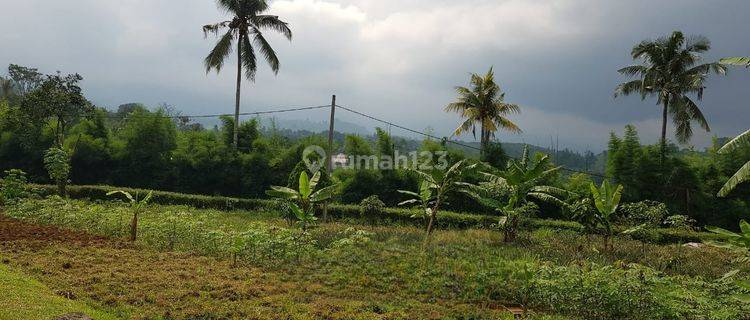 Tanah Lahan Siap Garap Subang Cisaat Jawa Barat 1