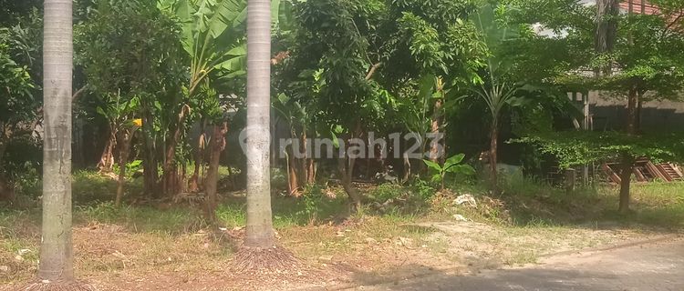 Kavling Siap Bangun Cocok Untuk Tempat Tinggal Di Jombang 1