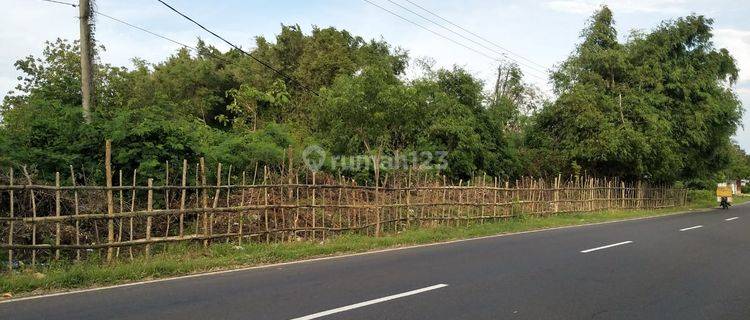 Dijual Tanah di Bangkalan Madura, Jalan Raya Tanjung Bumi, dekat pantai pasir putih Tlangoh 1
