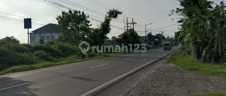 Dijual Tanah Nol Jalan Raya Babat, Bypass Bojonegoro -  Jombang, Kecamatan Ploso, Jombang 1