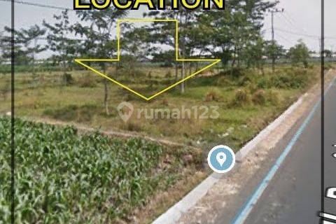 Dijual Lokasi Industri 0 Jalan Raya di Raya Bangil, Sukorejo  1