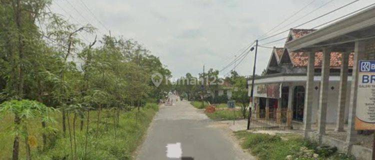 Dijual Lahan di Jl Raya Lomaer Bungkak, Batorasang, Kec. Tambelangan, Sampang, Madura 1