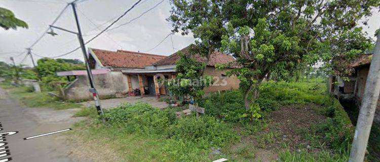 Dijual Tanah Nganjuk MURAH, Cocok untuk Gudang, Kebun, Rumah Usaha Budidaya, dsb 1