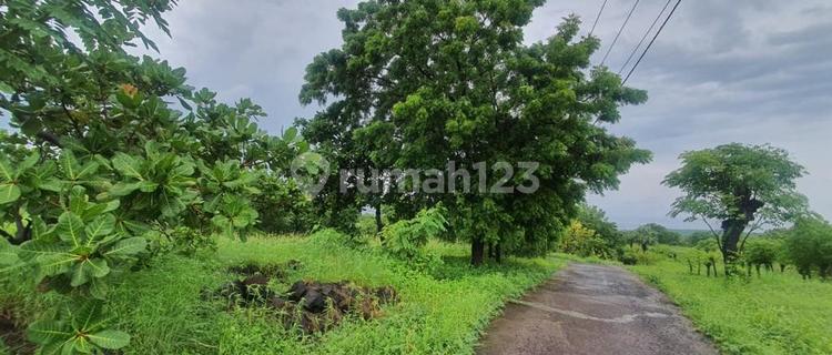 Dijual sampai DEAL! Tanah Karang Asem, Tulamben Bali Salah satu spot diving terbaik di dunia cocok untuk investasi, resort, kontur tanah tinggi, view laut dan gunung 1